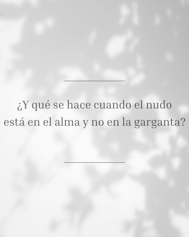 Ampliar imagen: Terapia individual