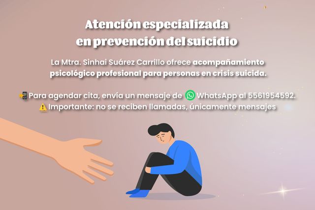 Ampliar imagen: Consulta en línea