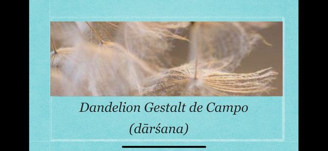 Ampliar imagen: Dandelion Gestalt de Campo