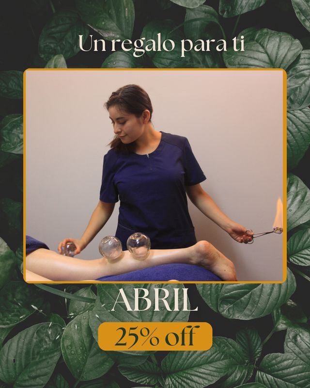 Ampliar imagen: HomeOstasis Fisioterapia