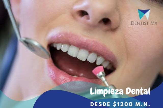 Ampliar imagen: Dentist Mx