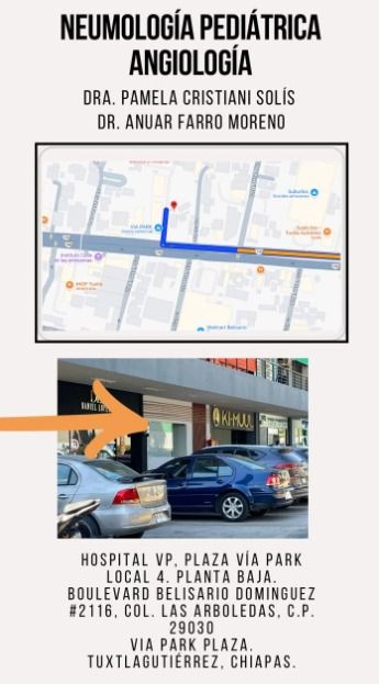 Ampliar imagen: Pamela Cristiani Solís