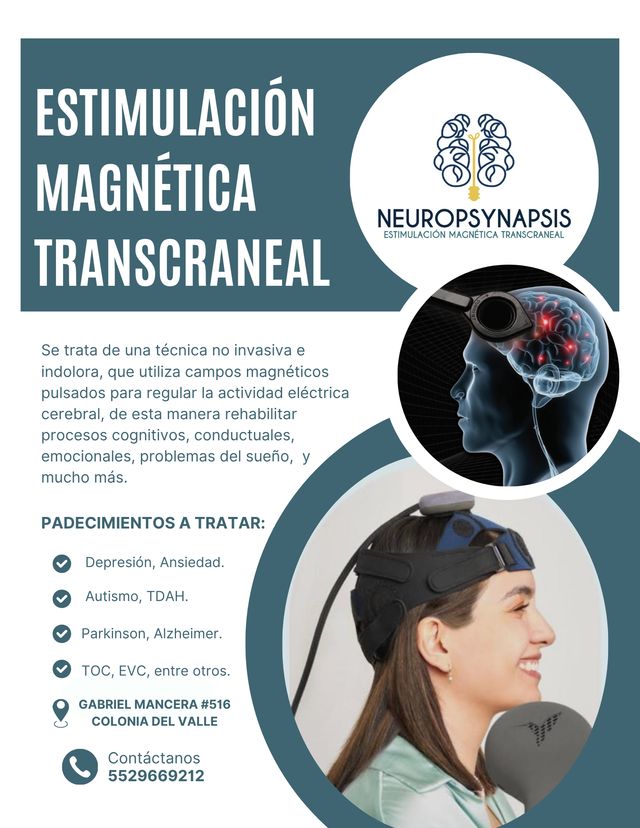 Ampliar imagen: Neuropsynapsis