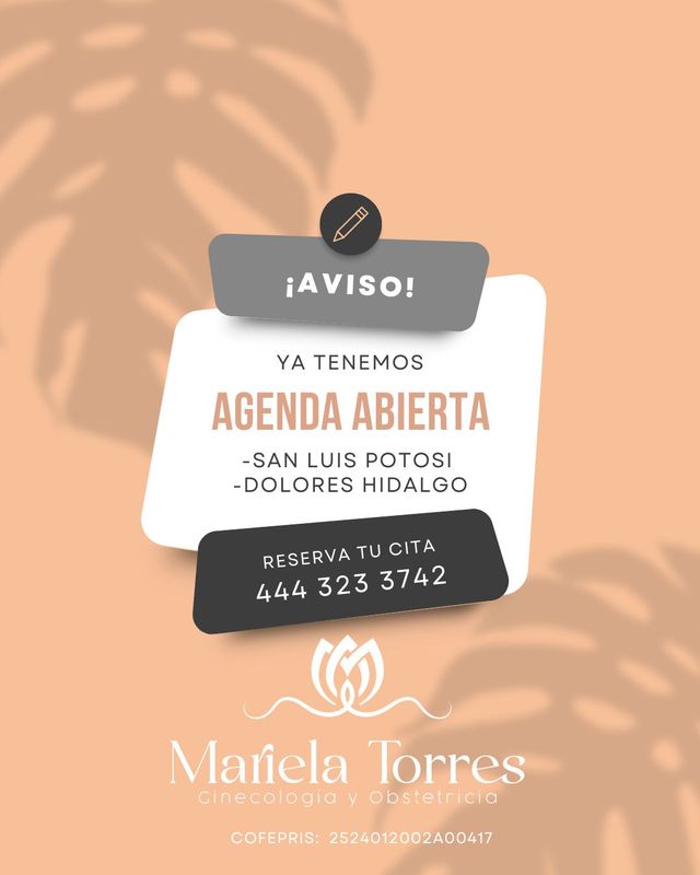 Ampliar imagen: Consulta en línea