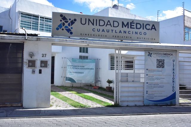 Ampliar imagen: Consulta en línea