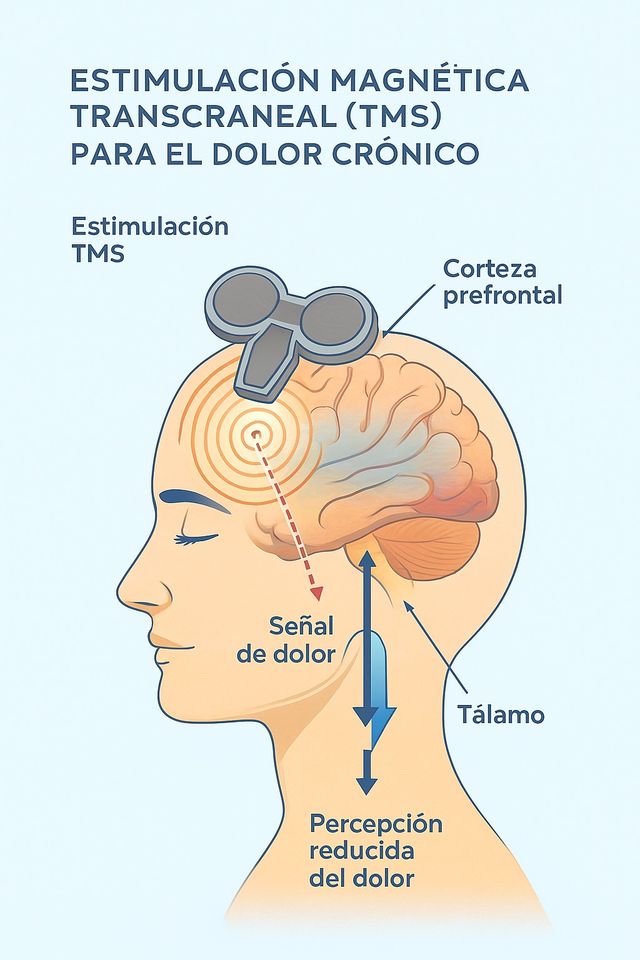 Ampliar imagen: Clínica de Neuropsicología Diagnóstica y Terapéutica
