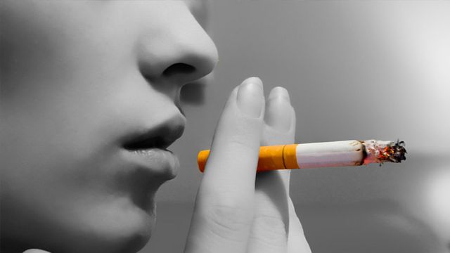 Ampliar imagen: Consultas en línea