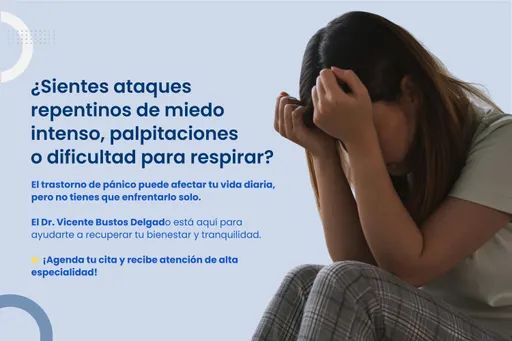 Ampliar imagen: Consultas en línea