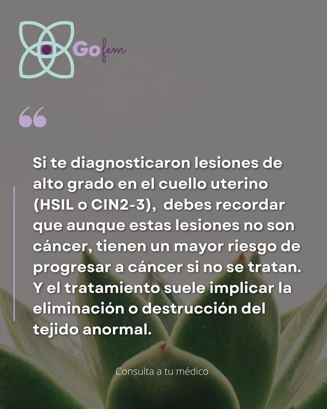 Ampliar imagen: GO Fem