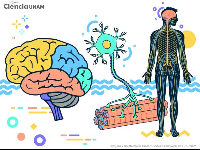 Ampliar imagen: Mtra. Marlen Escamilla Salgado Terapia Cognitiva-Conductual 