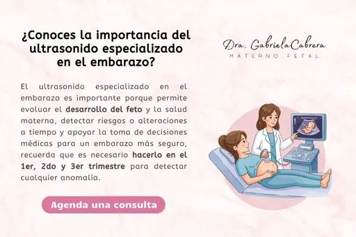 Ampliar imagen: Consulta en línea