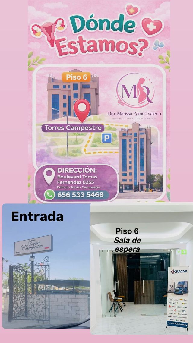 Ampliar imagen: Ginecologia y Obstetricia