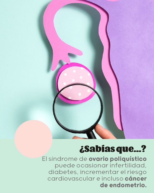 Ampliar imagen: Consultas en línea