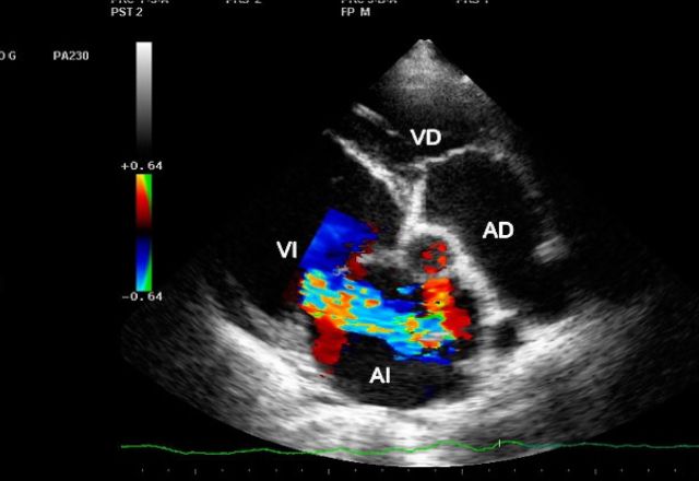 Ampliar imagen: Cubasana SC Cancún
