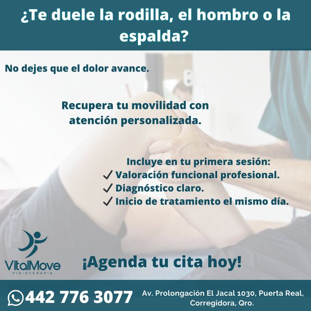 Ampliar imagen: VitalMove Fisioterapia