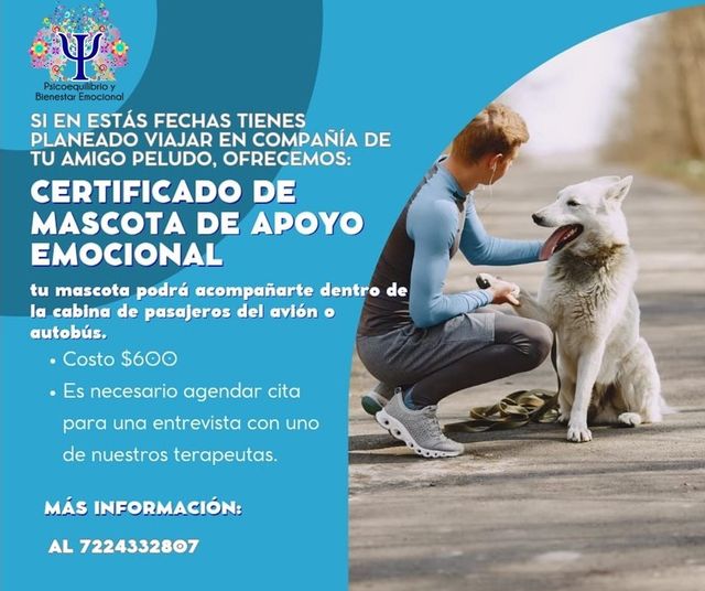 Ampliar imagen: Psicoequilibrio y Bienestar Emocional