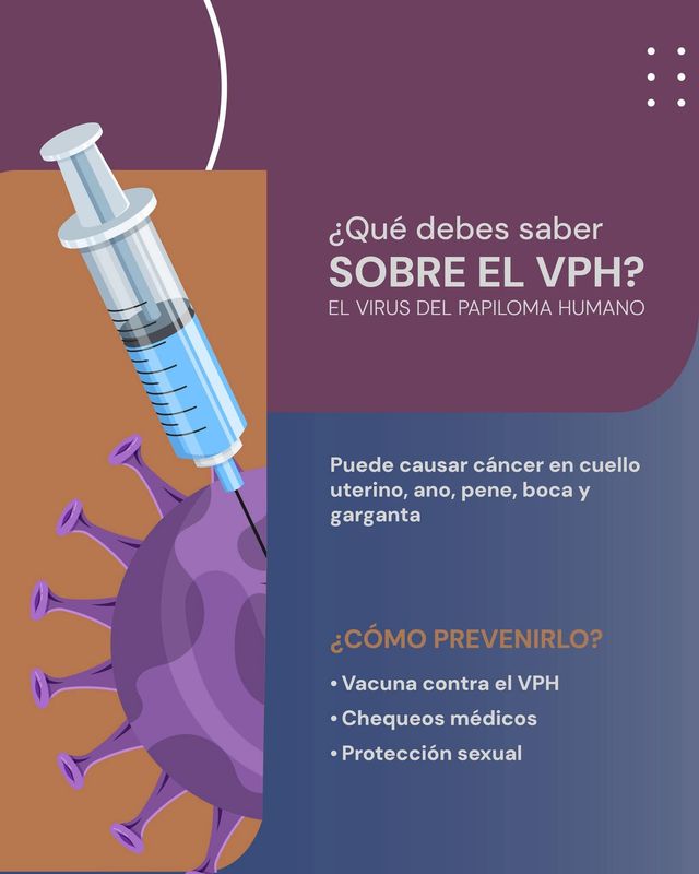 Ampliar imagen: HOSPITARIA