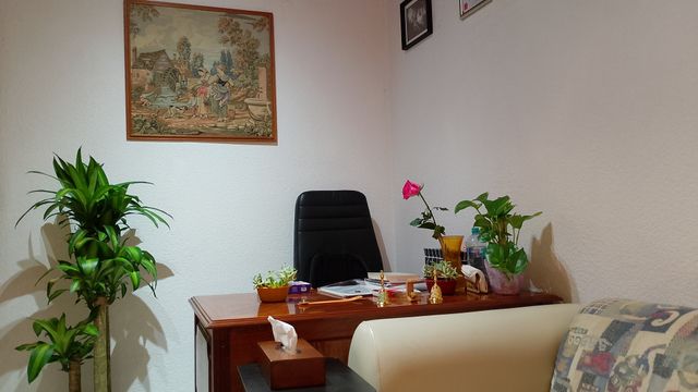 Ampliar imagen: Consulta en línea