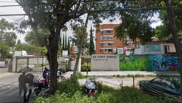 Ampliar imagen: Coyoacan
