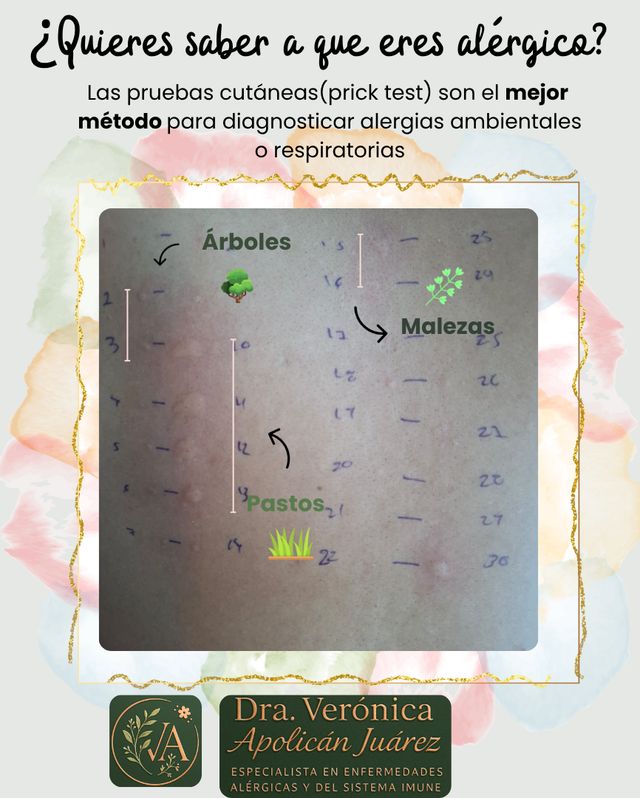 Ampliar imagen: Hospital MAC La Viga