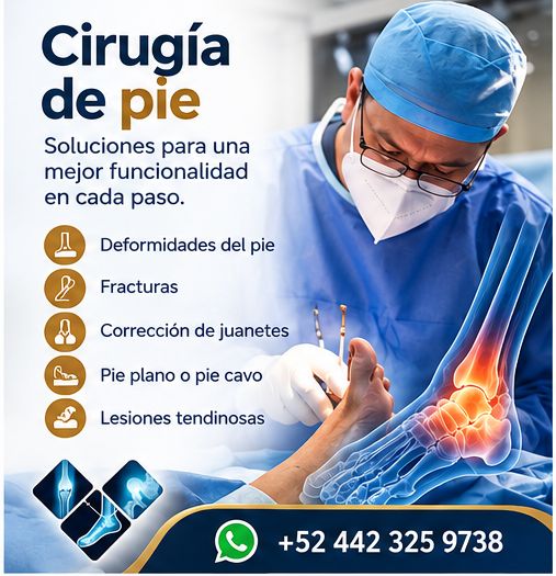 Ampliar imagen: Consultas en línea