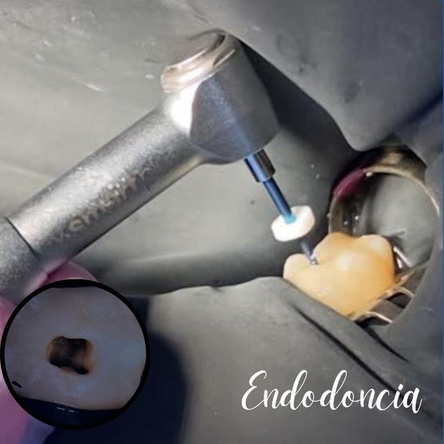 Ampliar imagen: Especialidades Odontológicas Jessica Gómez