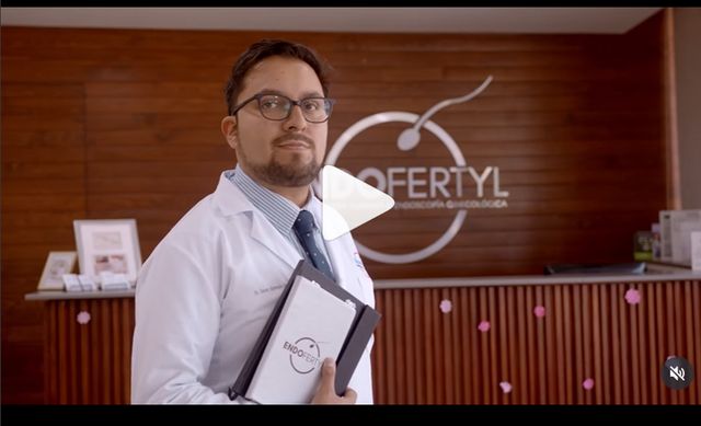 Ampliar imagen: Consultas en línea