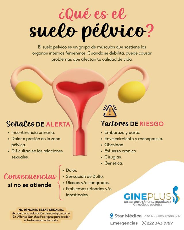 Ampliar imagen: GINECOLOGO DR. ALFONSO SÁNCHEZ RODRIGUEZ GEOVILLAS DEL PUERTO