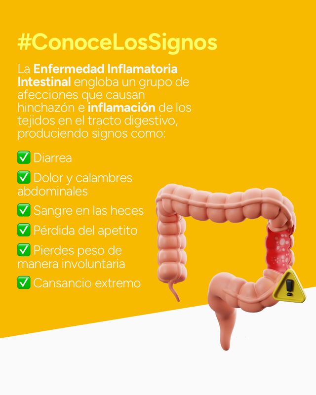 Ampliar imagen: Hospital Country 2000