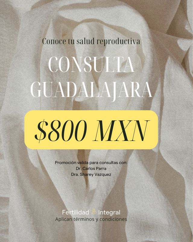 Ampliar imagen: Fertilidad Integral
