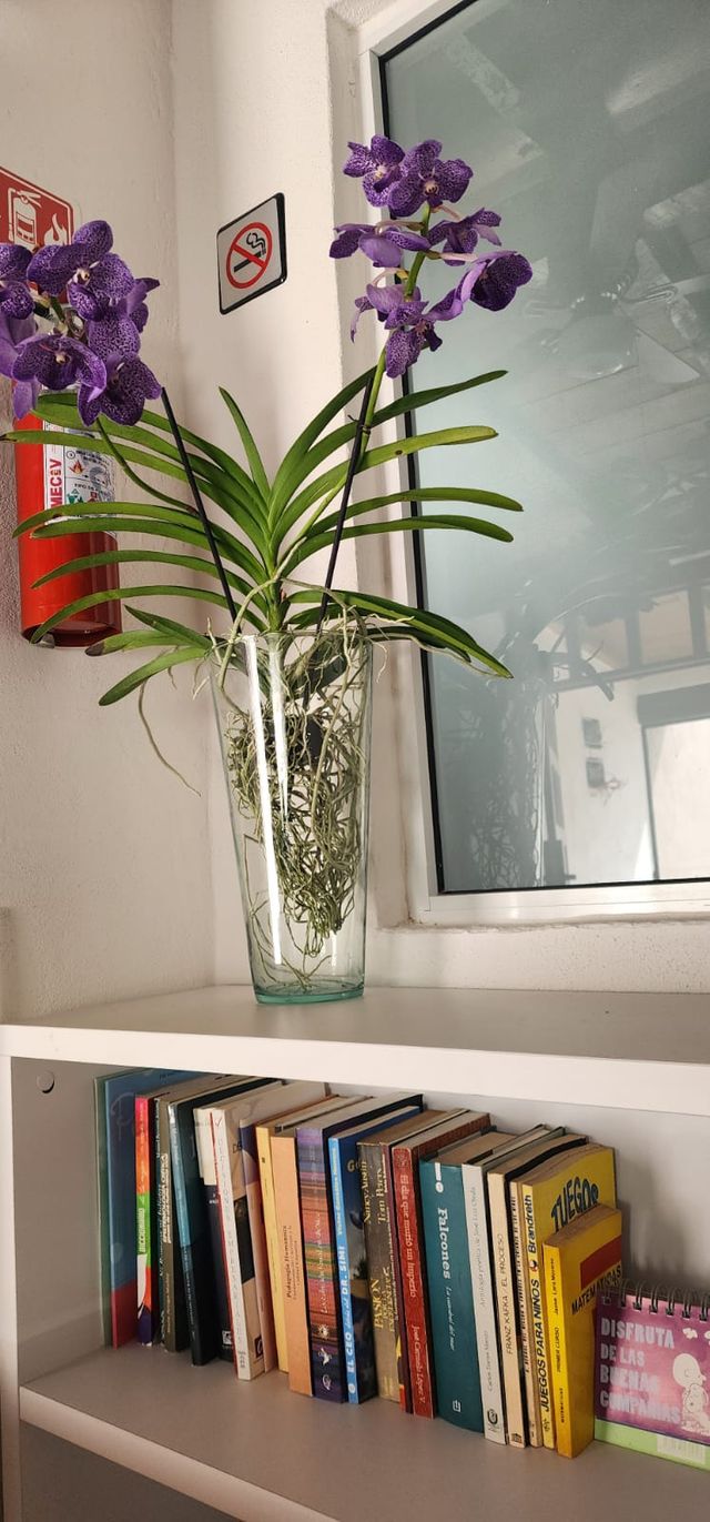 Ampliar imagen: TREGH Consultorios