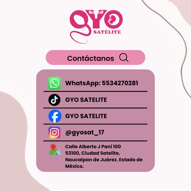 Ampliar imagen: GYO SATELITE