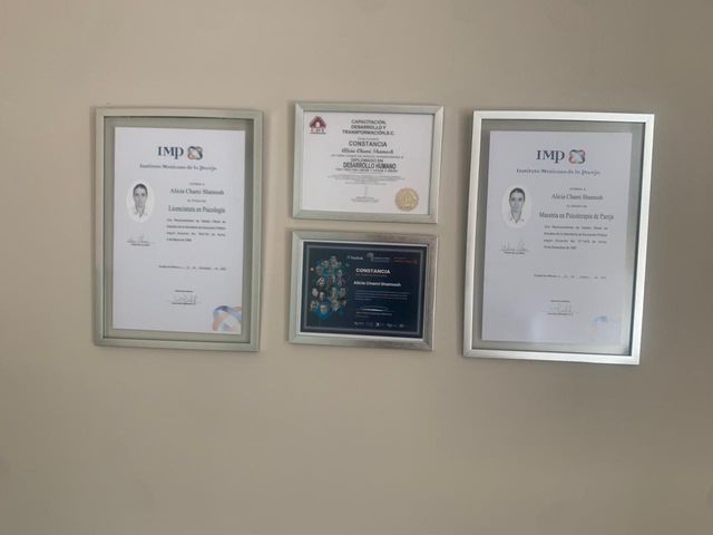 Ampliar imagen: Consulta en línea