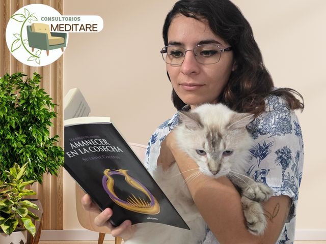 Ampliar imagen: Consultorios Meditare