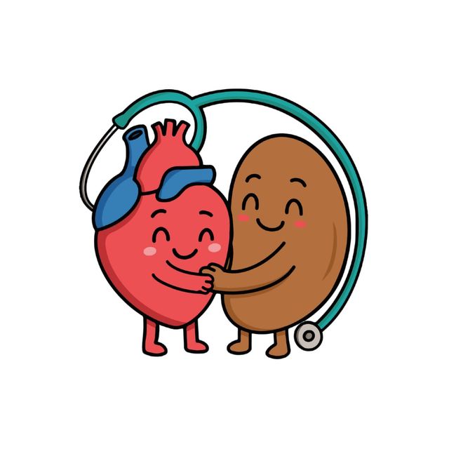 Ampliar imagen: Cardio Nat Pediatría Star Médica