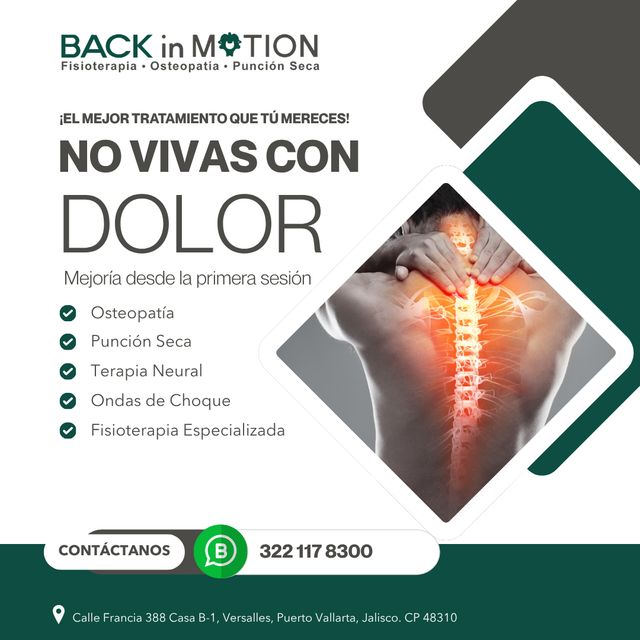 Ampliar imagen: BACK in MOTION PV -Fisioterapia, Osteopatía, Punción Seca-.
