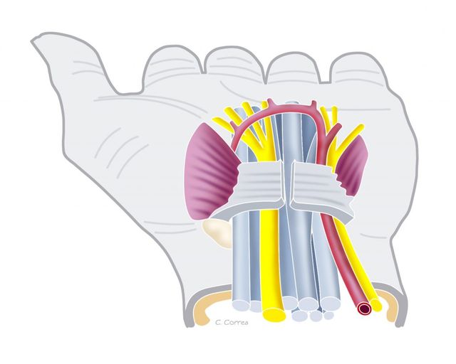 Ampliar imagen: Hospital Ángeles Universidad