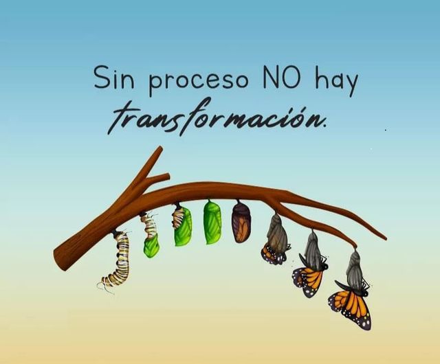 Ampliar imagen: Dr. Williams Rodríguez G. PsicoHipnoHomeopatía online