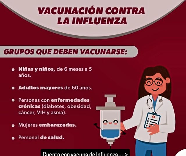 Ampliar imagen: Pediatrica Integral