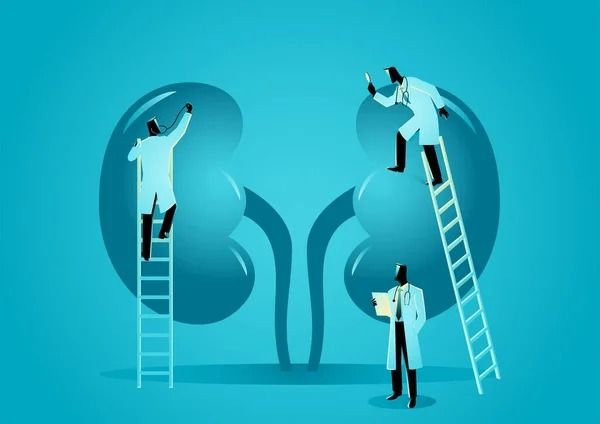 Ampliar imagen: NEFROLOGIA SERVICIOS MEDICOS INTEGRALES