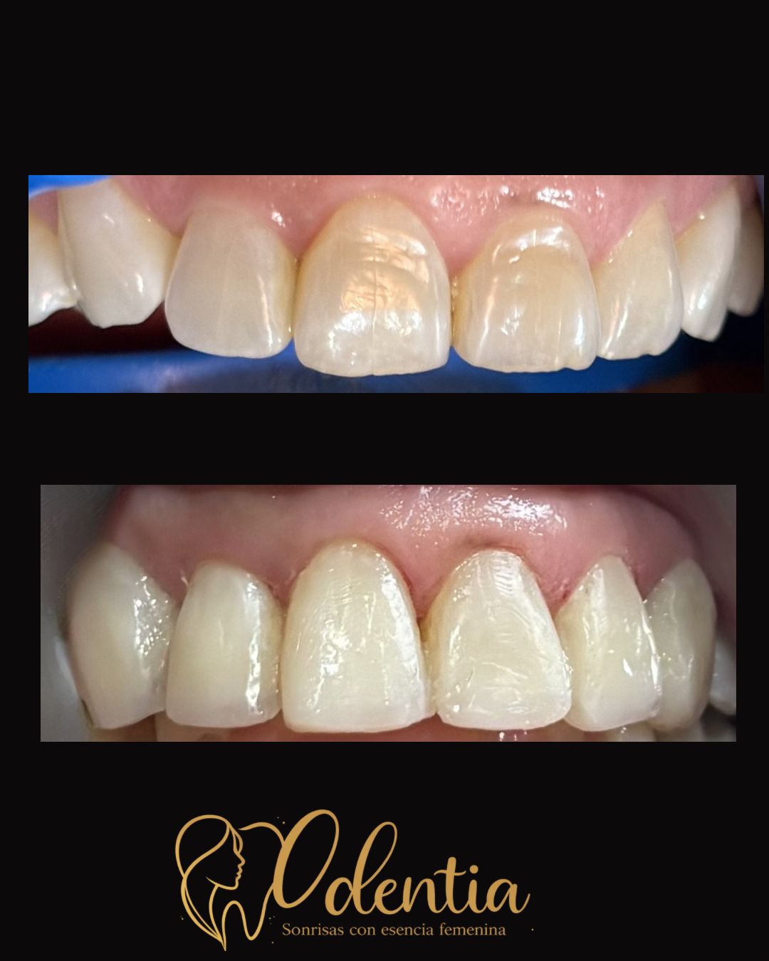 María Guadalupe Moreno Valencia-9