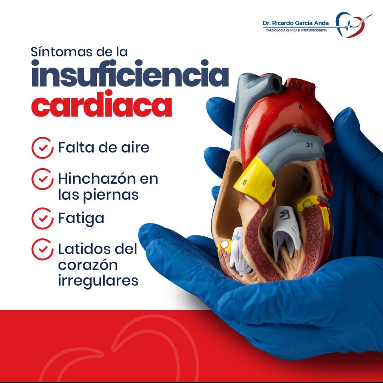 Ricardo Garcia Anda-7