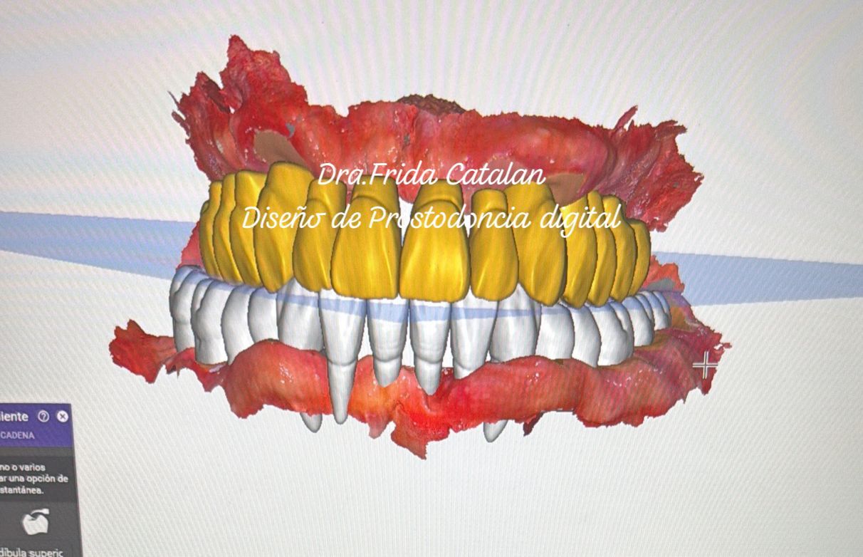 Frida Catalan Verdi-9