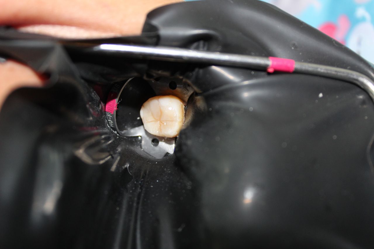 Mariana Alarcón López-10