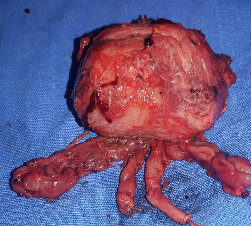 Juan Pablo Santos Uscanga-18