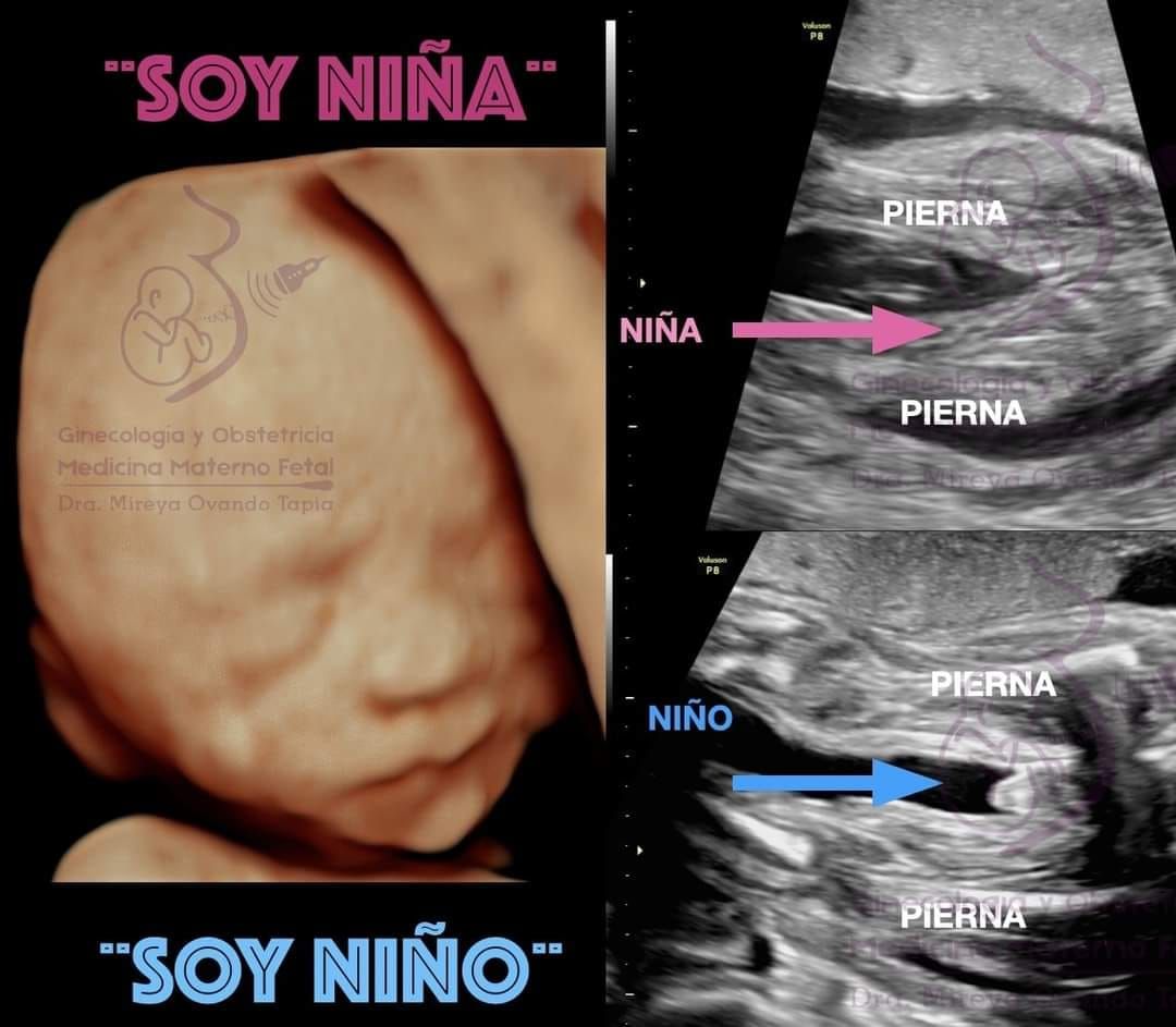 Mireya Ovando Tapia-5