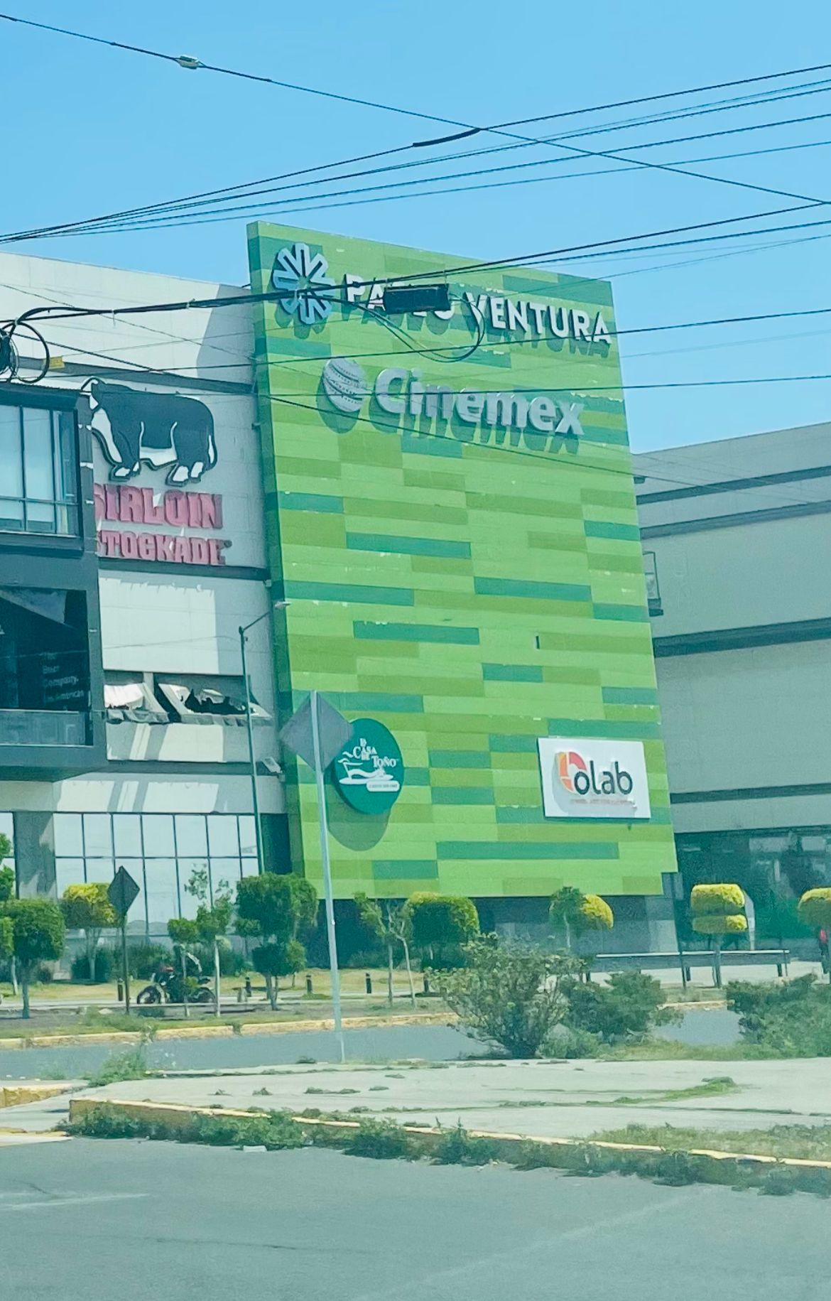 Nidia S. Ramírez Aguilar-0