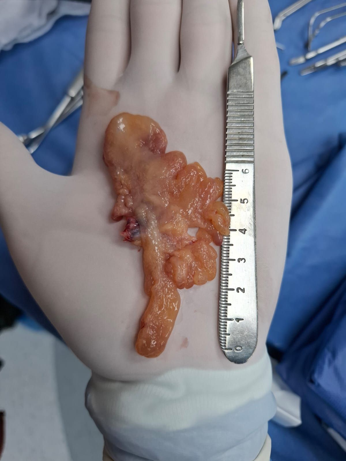 Martin Alberto Hernandez Cardenas-11