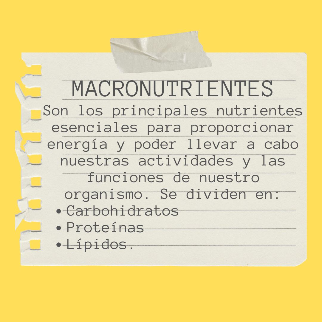 Manuel Josimar Hernández Castillo-10