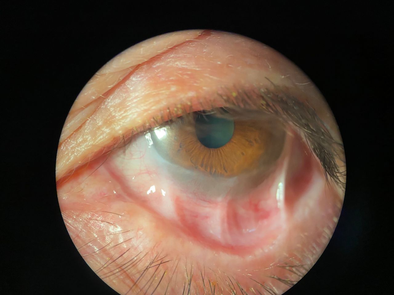 Ivonne Jocelyn Rivera Alvarado-35